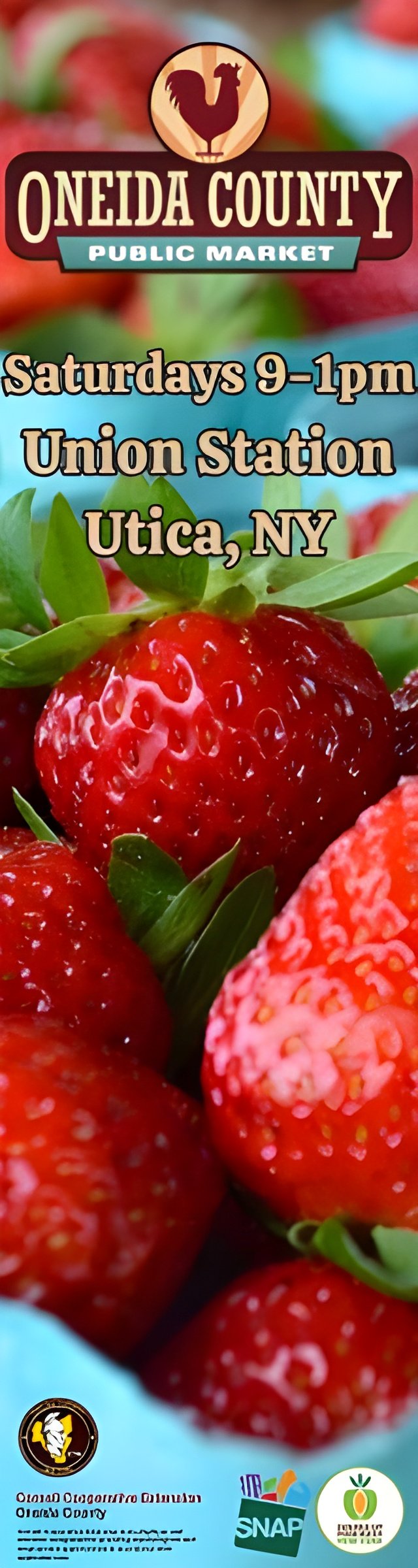 spot_img